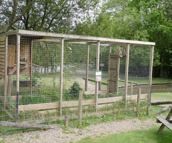 Everything You Need To Know About Aviaries