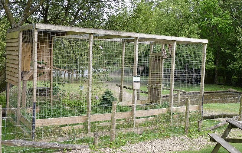 Everything You Need To Know About Aviaries