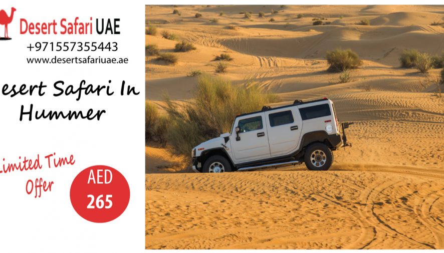 All the interesting things you can do in Desert Safari Dubai