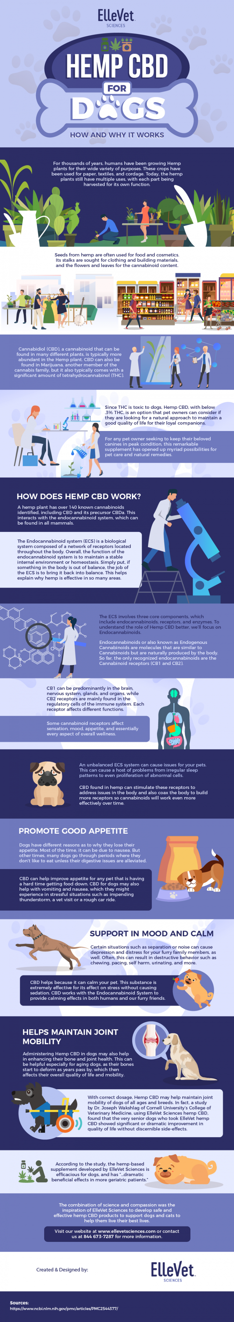 Hemp_CBD_for_Dogs_-_How_and_Why_It_Works-01 (1) (1)