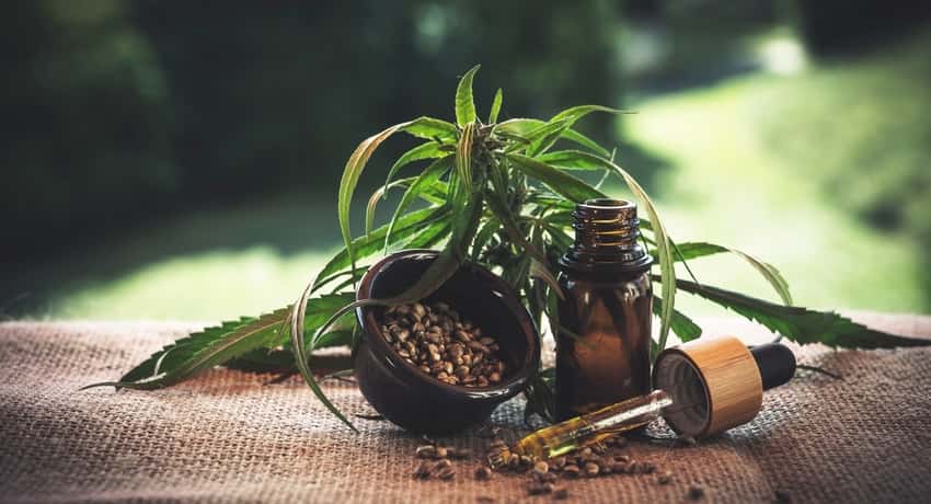 How to Use Terpenes to Enhance Your Life