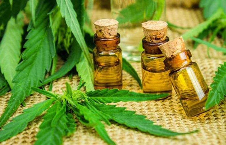 Essential Opportunities with the CBD Oil