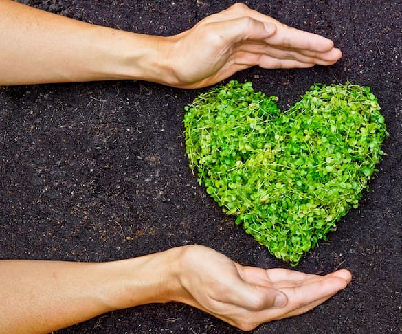 Reasons How Going Sustainable and Green Can Benefit Your Business