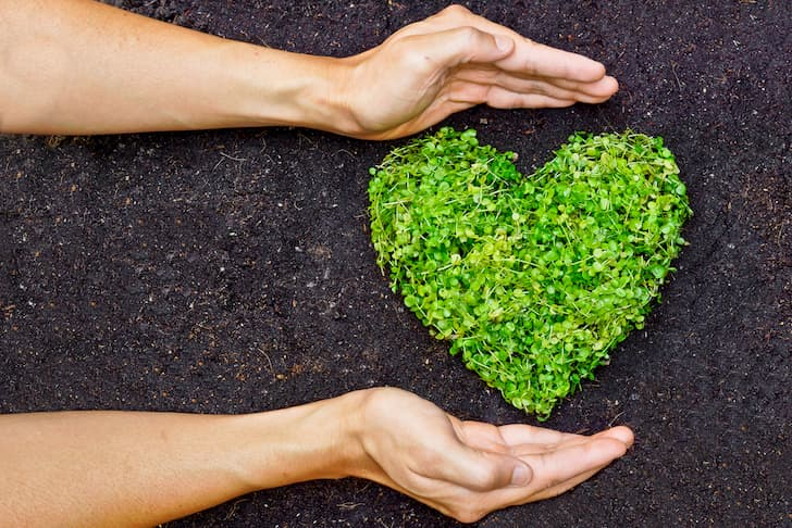 Reasons How Going Sustainable and Green Can Benefit Your Business