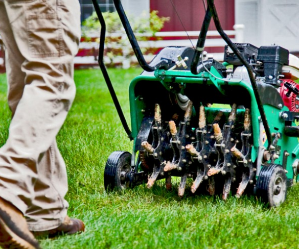 Everything to Know About Turf Aeration 
