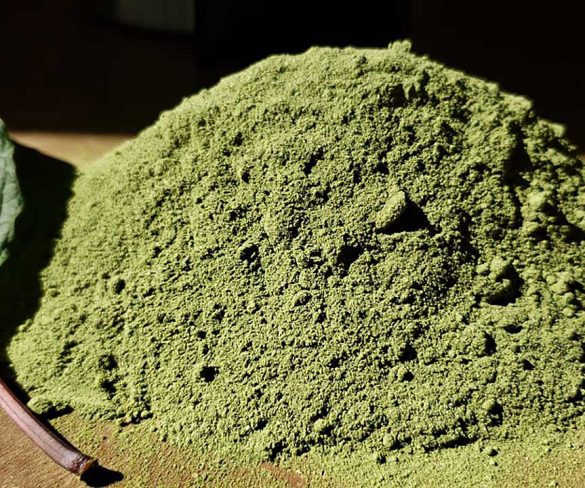 A beginner’s guide to white vein bali kratom