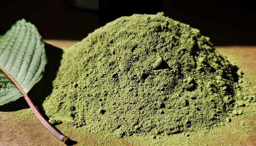 A beginner’s guide to white vein bali kratom