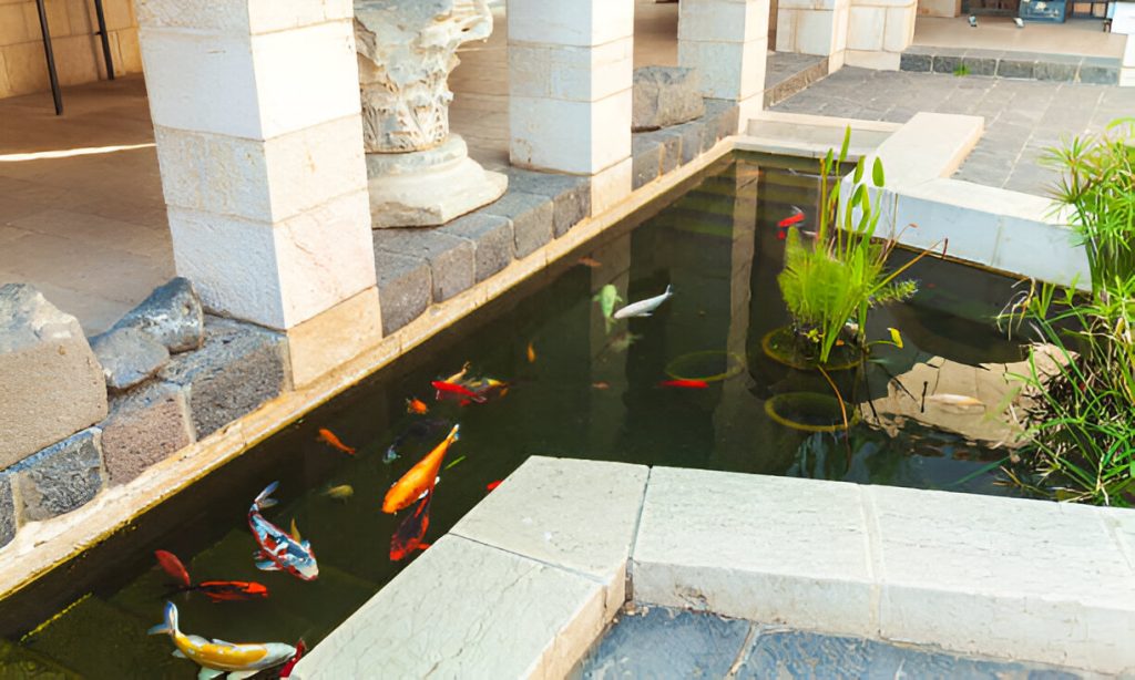 pond filter