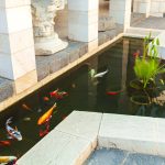 pond filter
