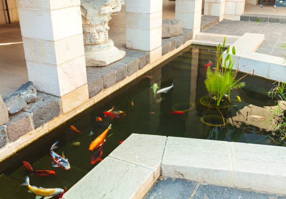 pond filter