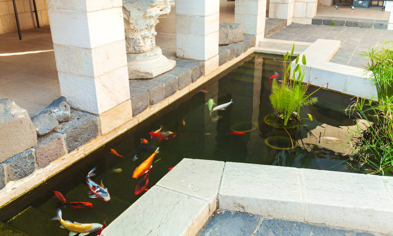 pond filter
